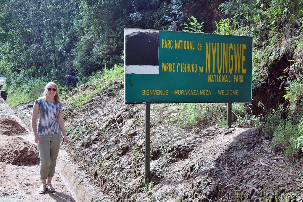 Nyungwe