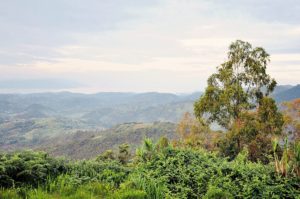 Nyungwe Top View Hill Hotel