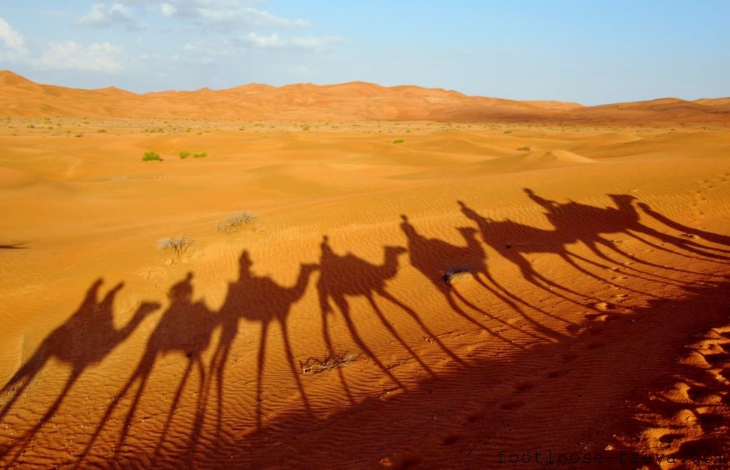 Qasr Al Sarab