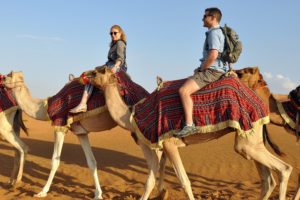 Qasr Al Sarab