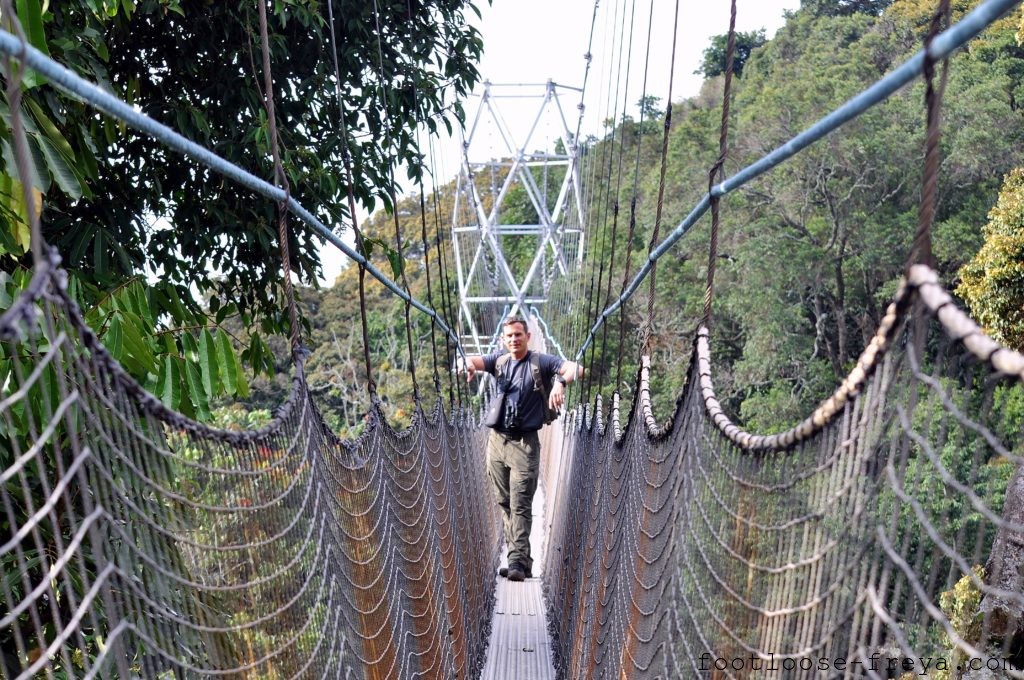 Nyungwe