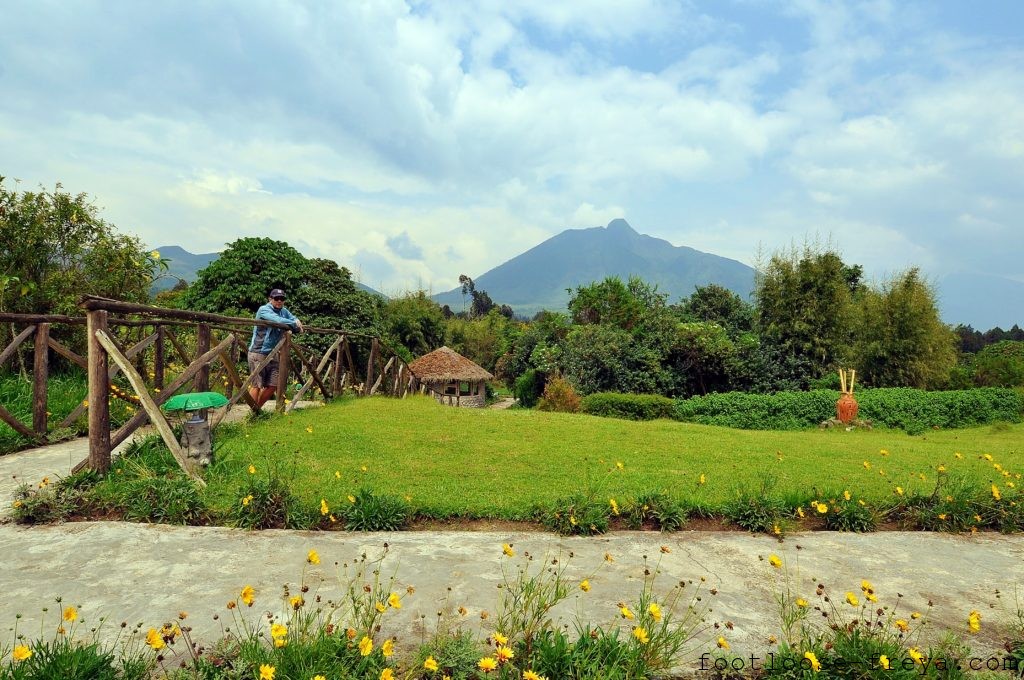 Mountain Gorilla View Lodge