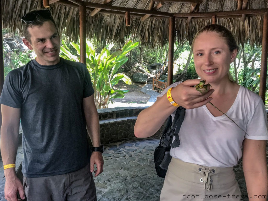 Ecohabs Tayrona