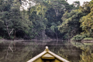 Matamata River, Amazon