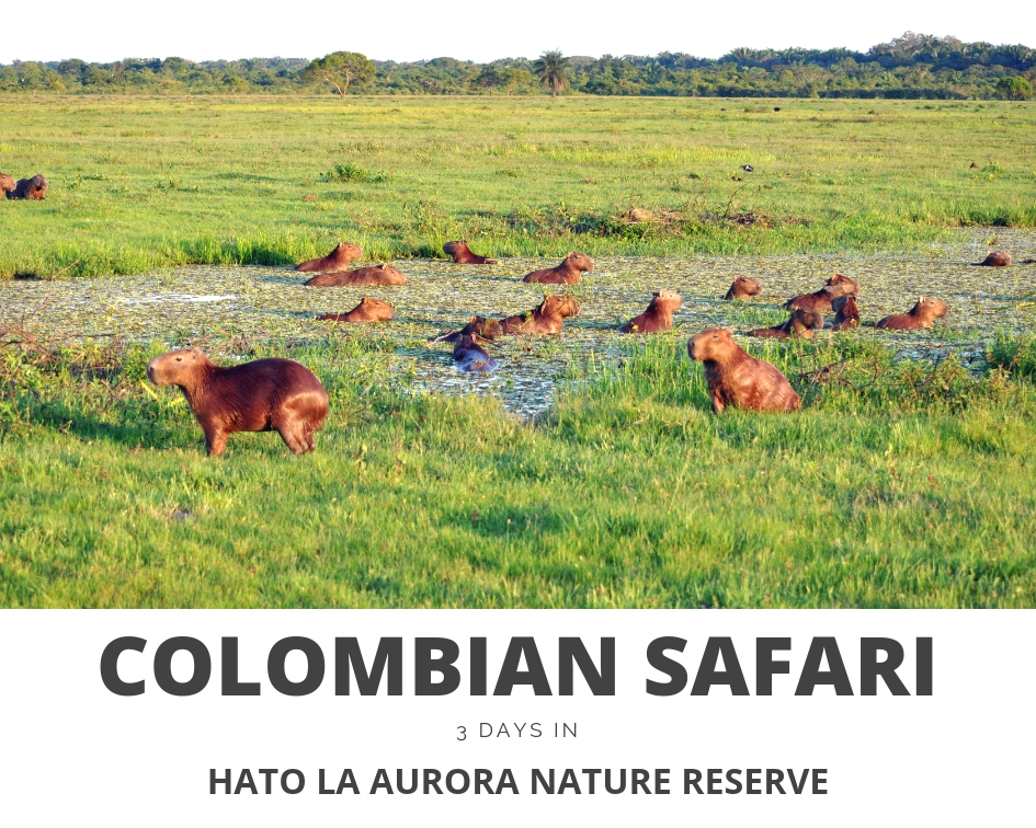 Los Llanos, Colombia