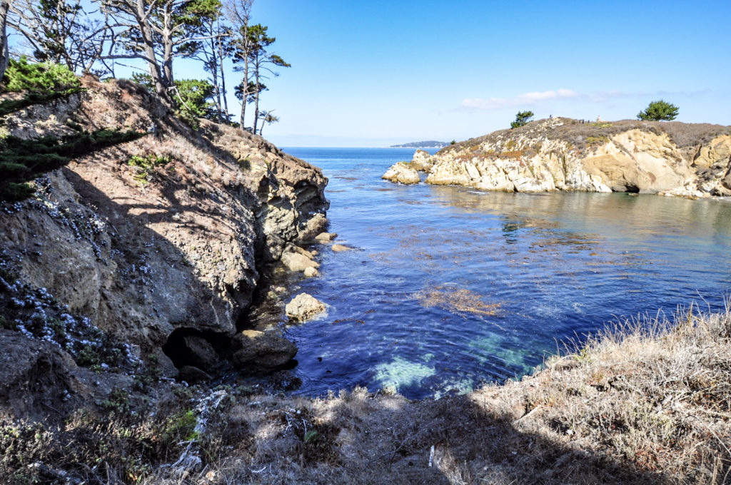 Point Lobos, Carmel