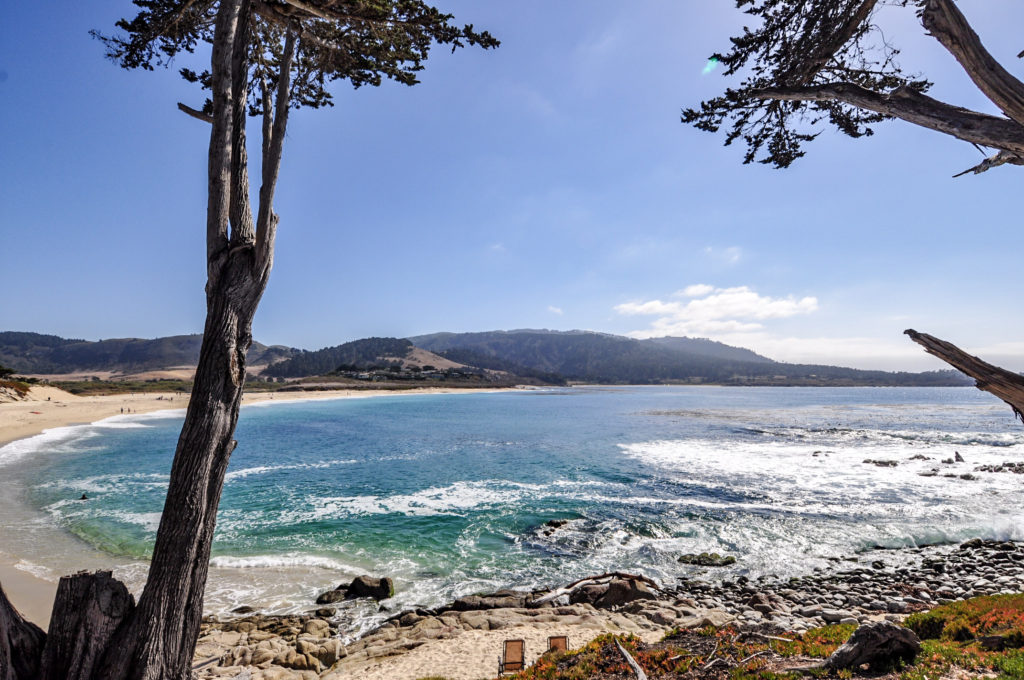 Carmel River State Beach