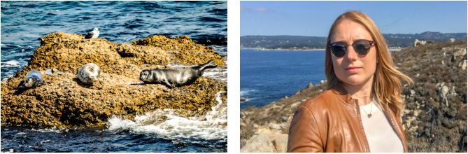 Point Lobos State Natural Reserve