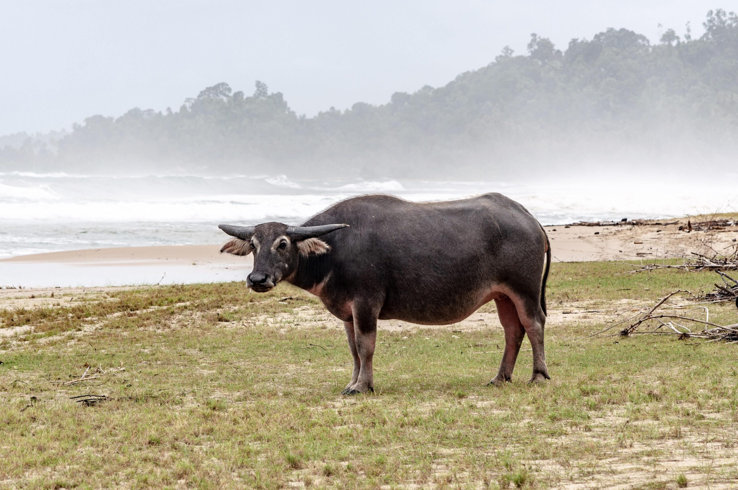 Simeulue Island