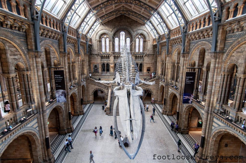 Natural History Museum, London