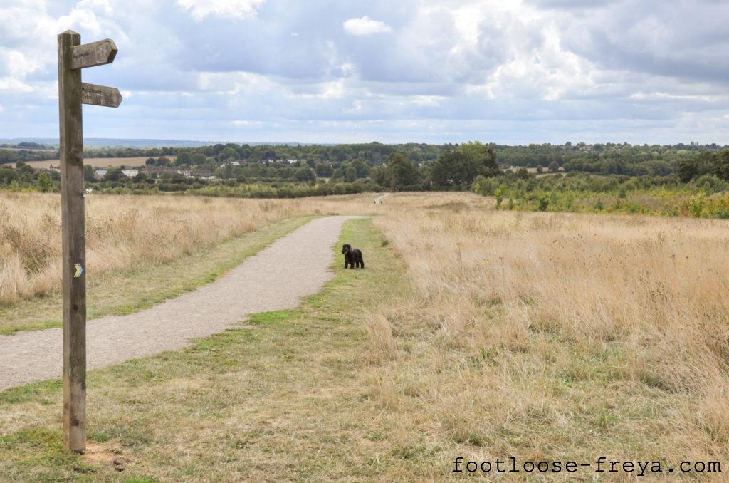 Heartwood Forest UK