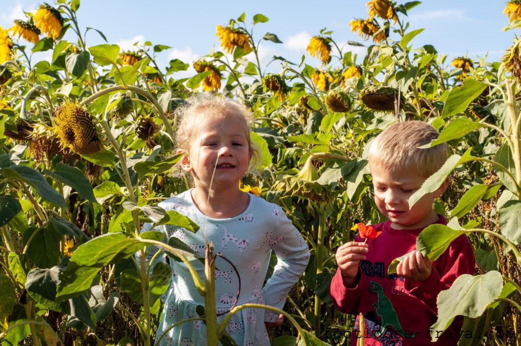 Pop Up Farm UK