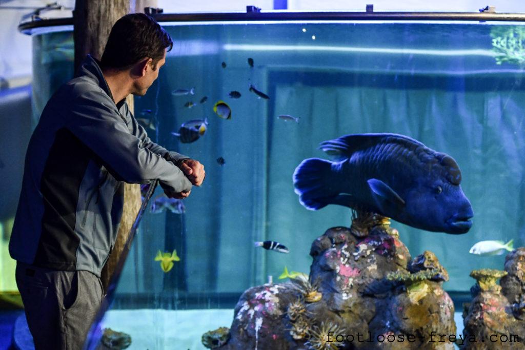 National Aquarium, Canberra