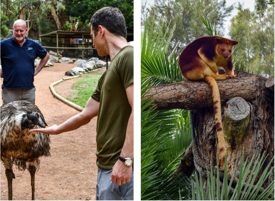 National Zoo & Aquarium, Canberra