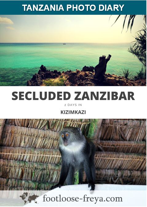 Kizimkazi #travel #zanzibar #tanzania #africa #footloosefreyablog