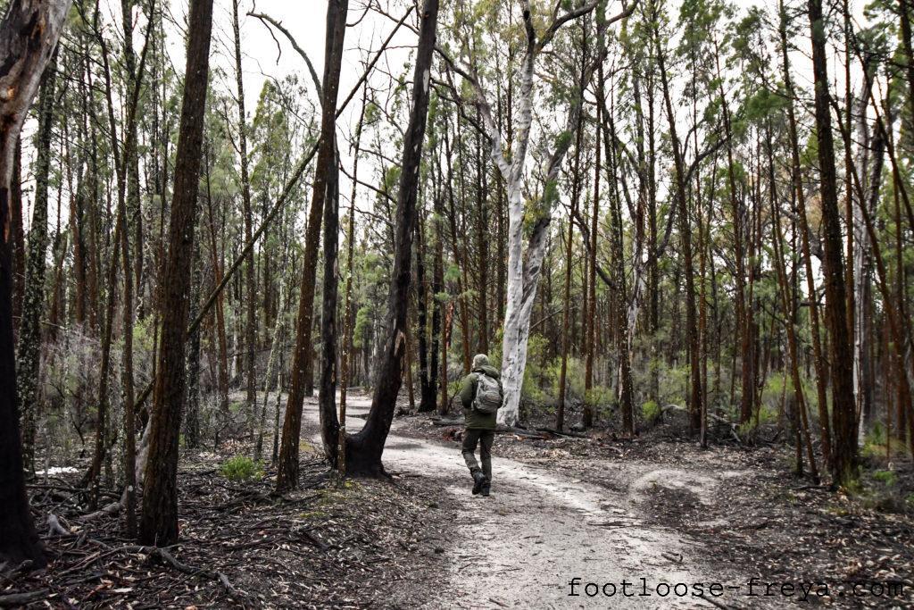 Munghorn Gap Nature Reserve