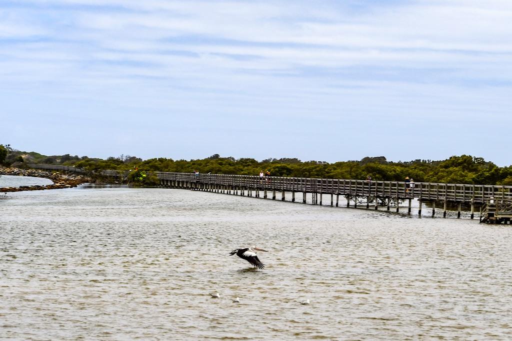 Urunga Boardwalk, Mid North Coast of New South Wales