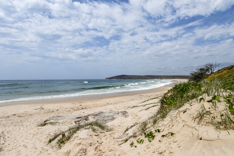 Angourie Surfing Reserve