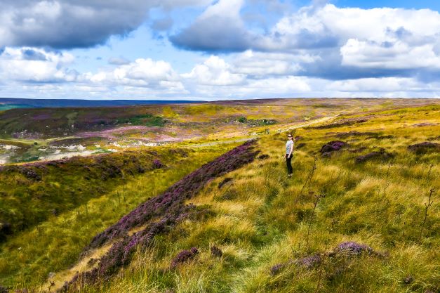 North York Moors