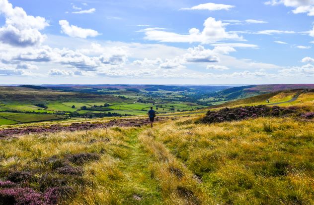 North York Moors