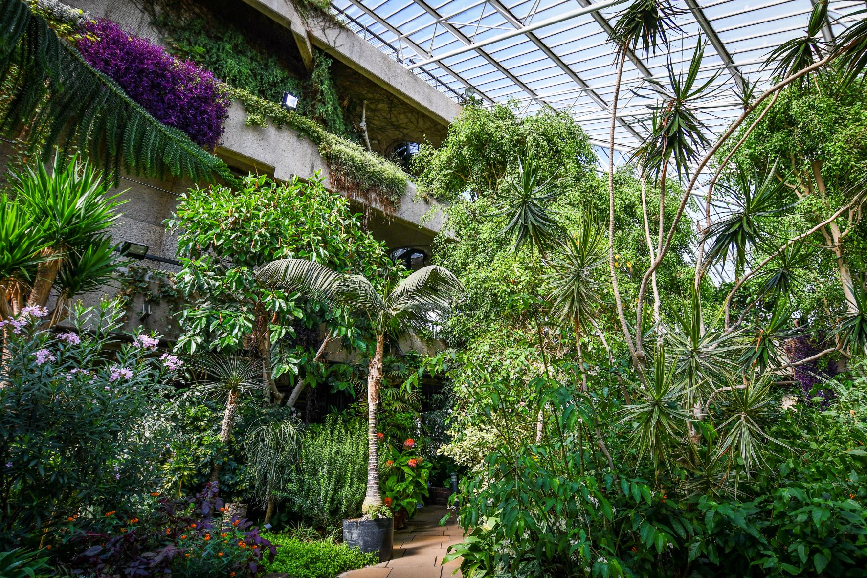 Barbican Conservatory, London