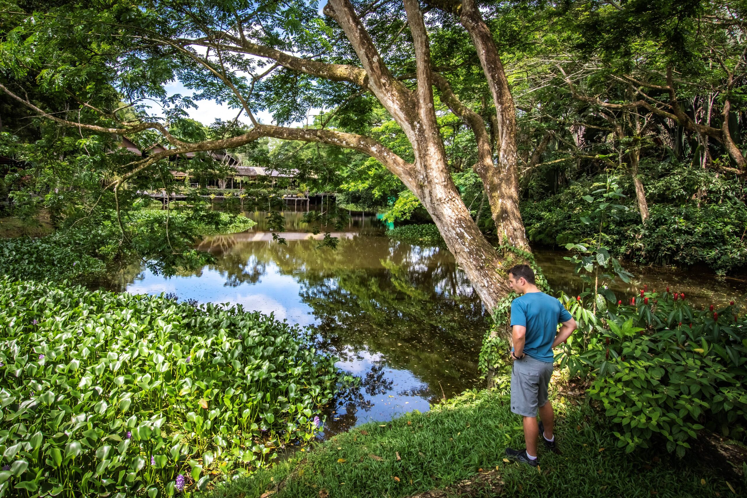 Natural lake, Sepilok Nature Lodge