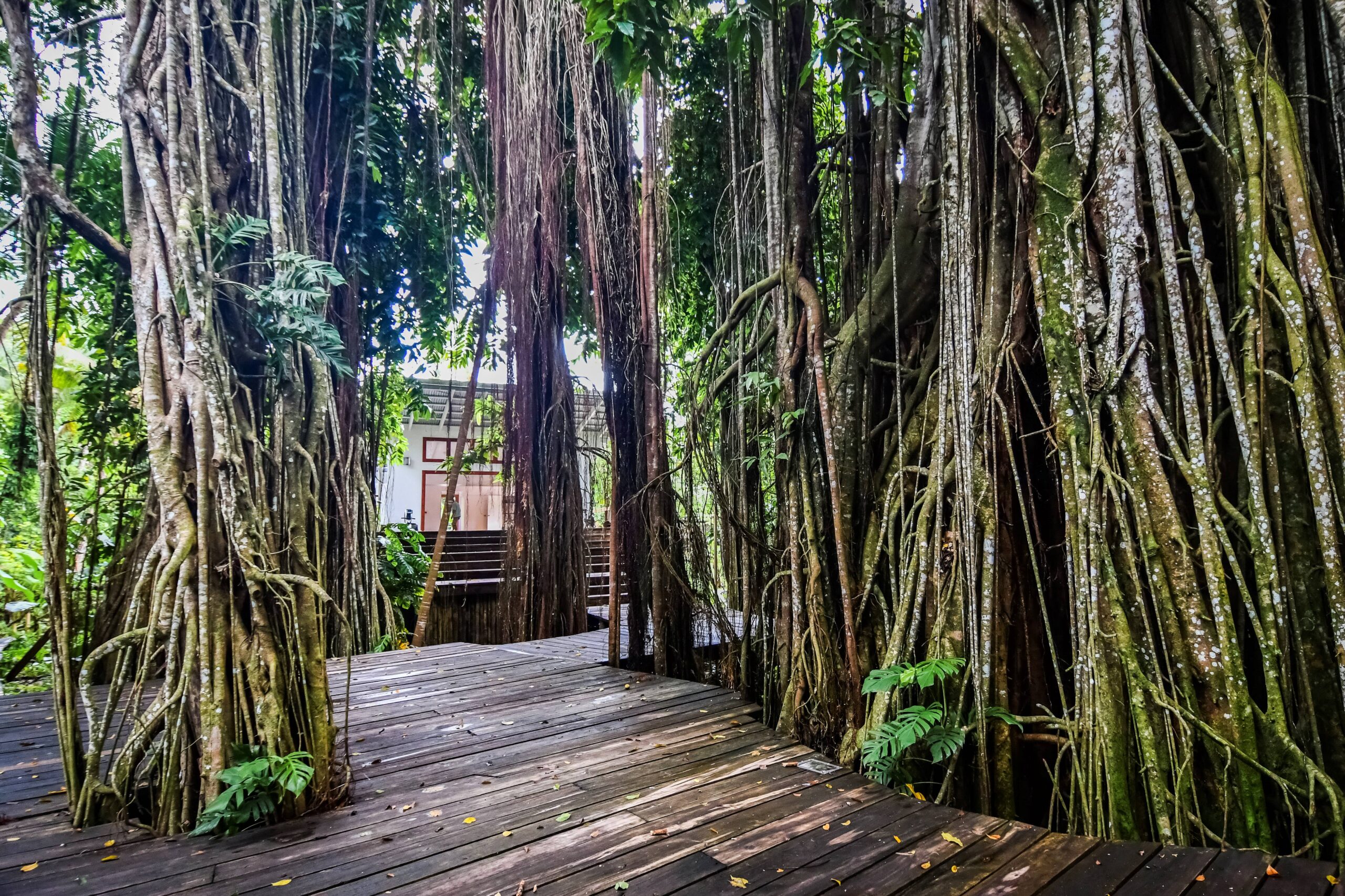 Matanivusi Resort, Fiji