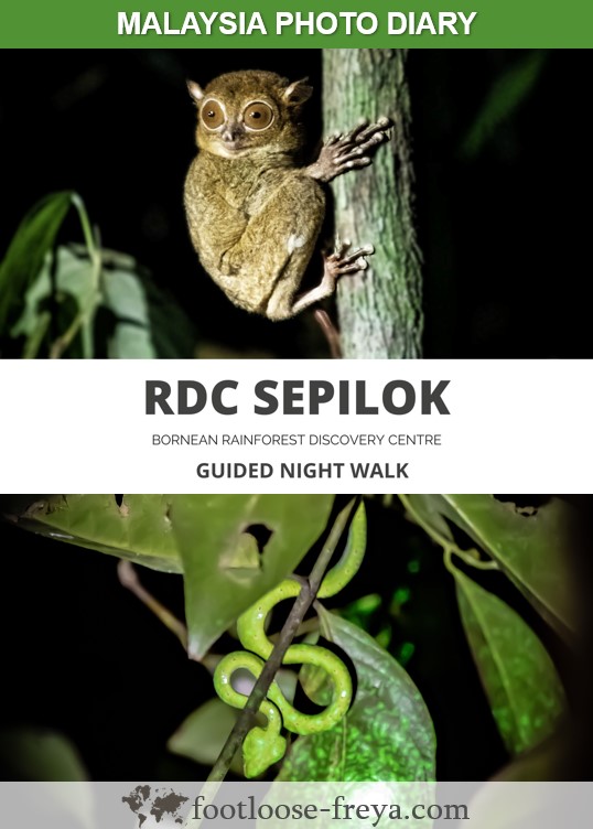 Rainforest Discovery Centre Sepilok #travel #borneo #malaysia #footloosefreyablog