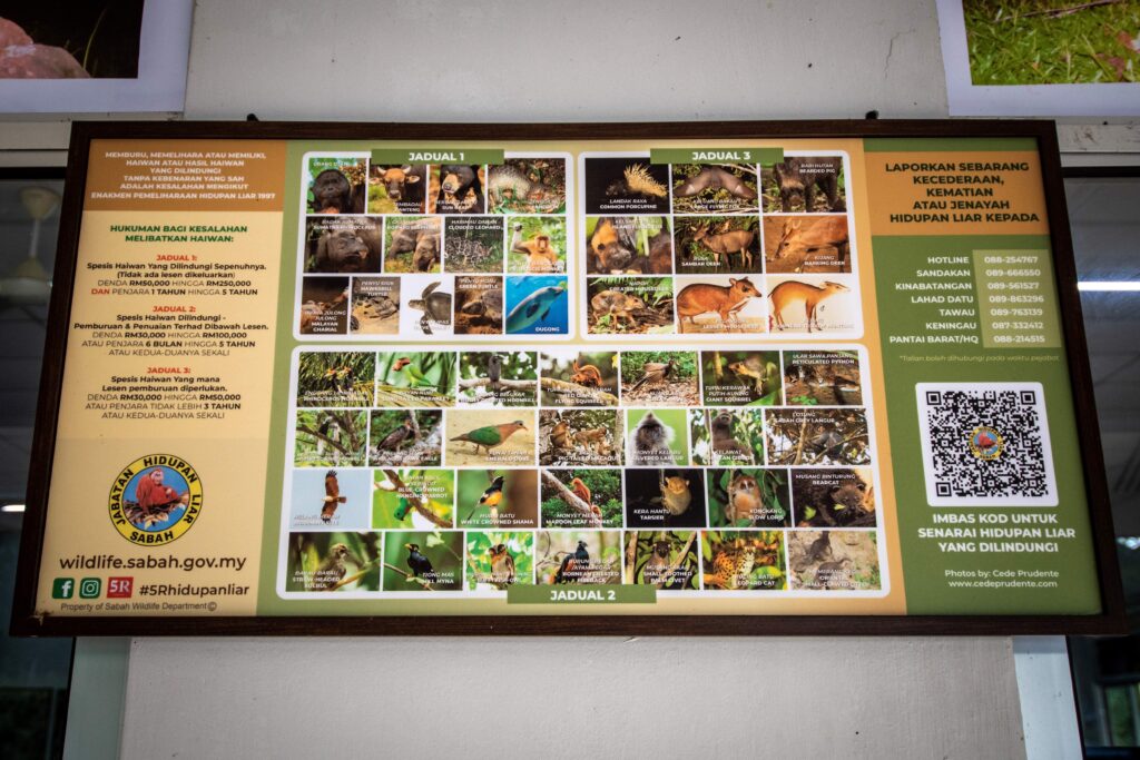 Deramakot Reception Centre, Borneo Wildlife Safaris