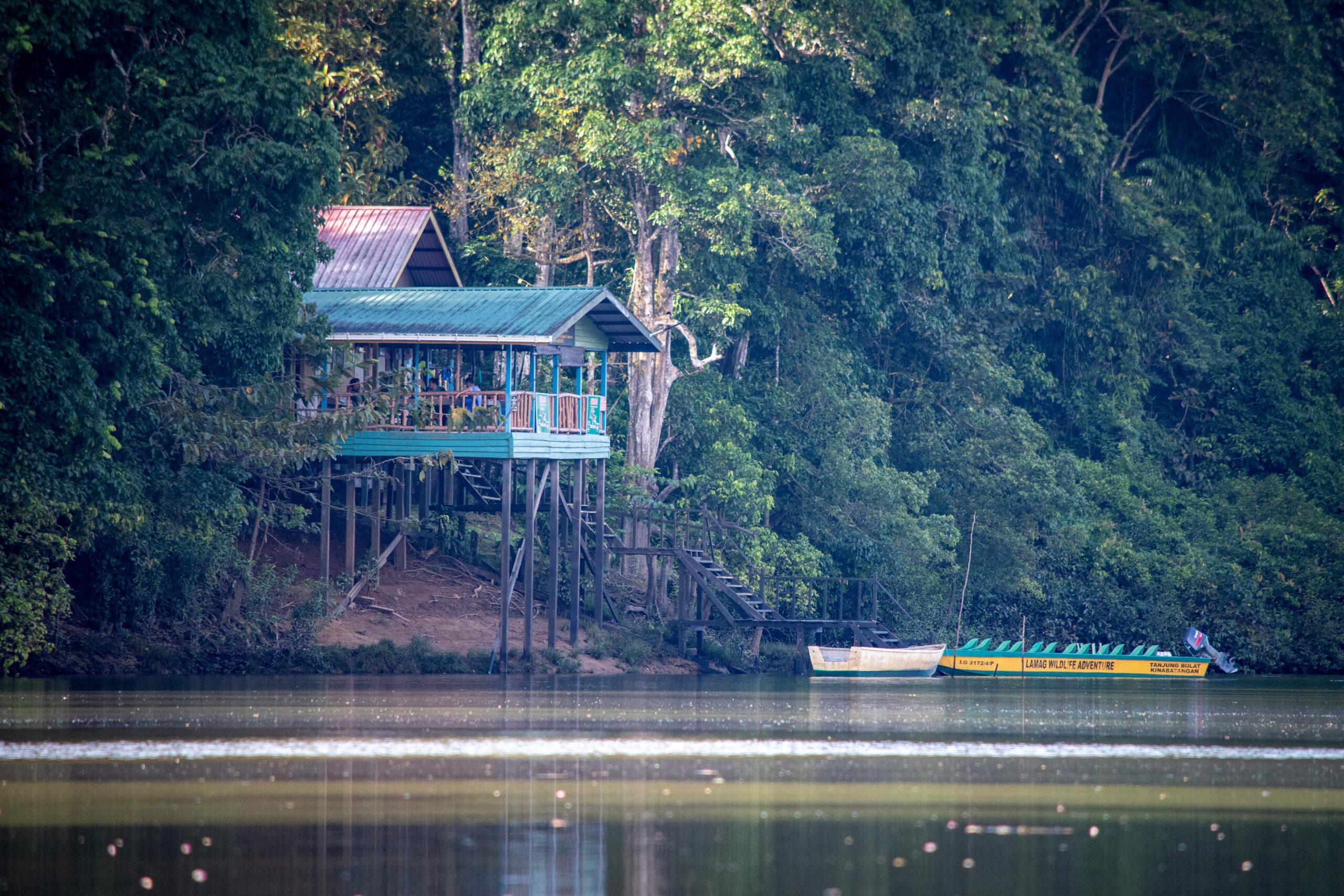 Tanjung Bulat Jungle Camp, Kinabatangan River