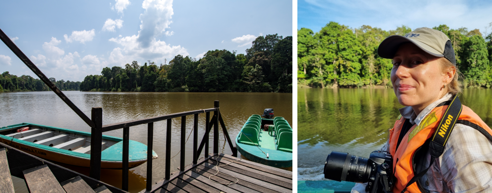 Borneo Wildlife Safaris, Tanjung Bulat Jungle Camp, Kinabatangan River